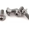 1UP Racing Pro Duty Titanium ServoLock Screws (3x8mm) 1 1UP Racing Pro Duty Titanium ServoLock Screws (3x8mm) -1UP Racing Sales Store 1up700012